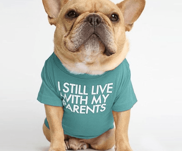 french bulldog dress shirt French Bulldog Logo Shirt Brand | Brand Name Dog Clothes