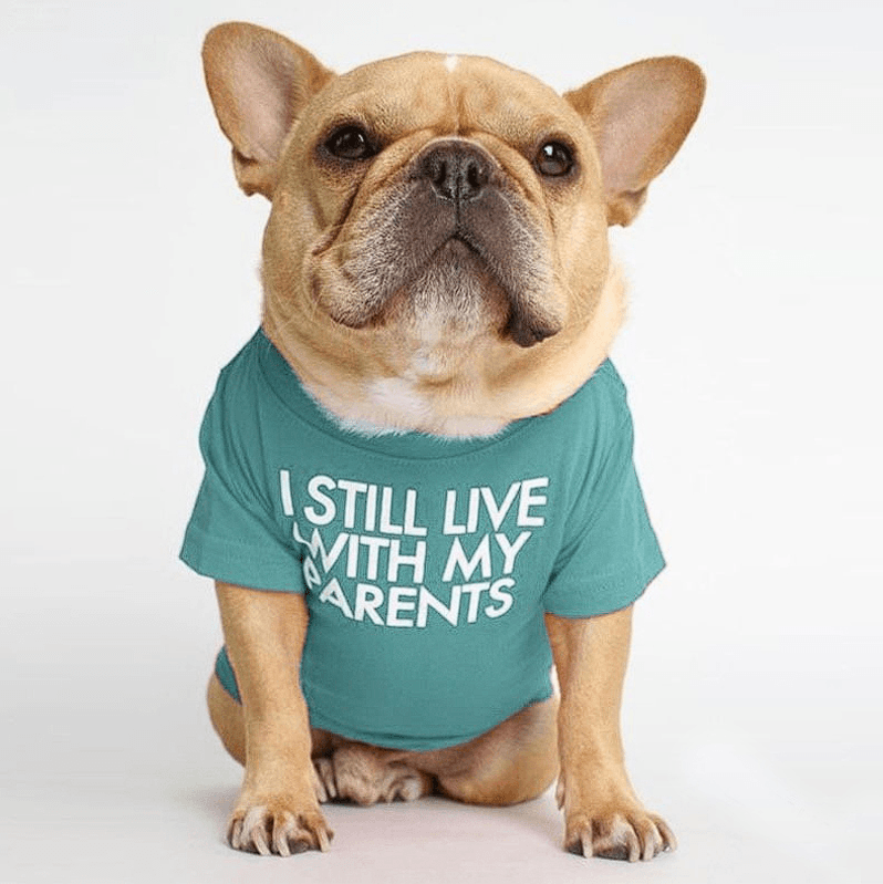 Parents French Bulldog Shirts - Green / S - Frenchie Complex Shop
