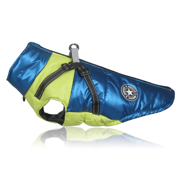 Quality French Bulldog Vest - S / Blue - Frenchie Complex Shop