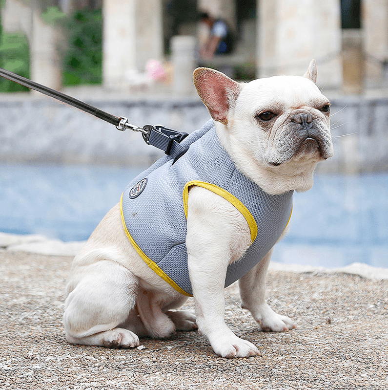 Cooling jacket clearance for french bulldog