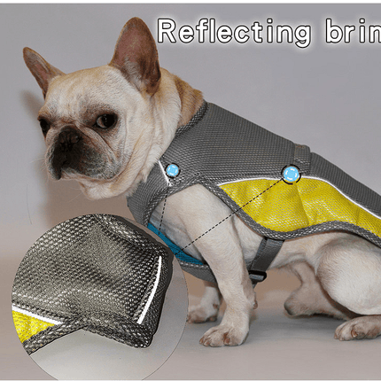 Premium French Bulldog Cooling Vest - Frenchie Complex Shop
