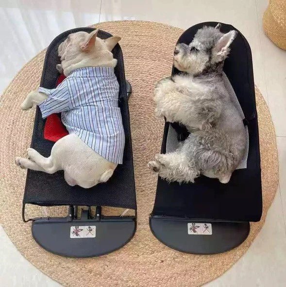 French Bulldog Rocking Chair - Frenchie Complex