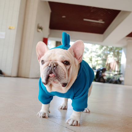 Blue French Bulldog Hoodie - Frenchie Complex Shop