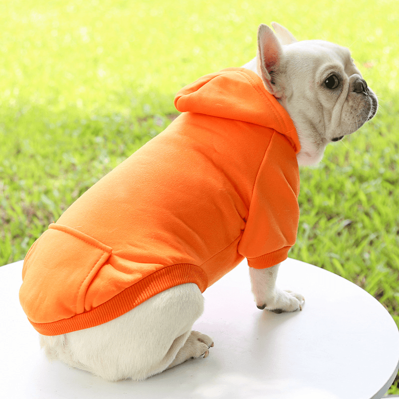 French Bulldog Hoodie - Orange / XS - Frenchie Complex Shop