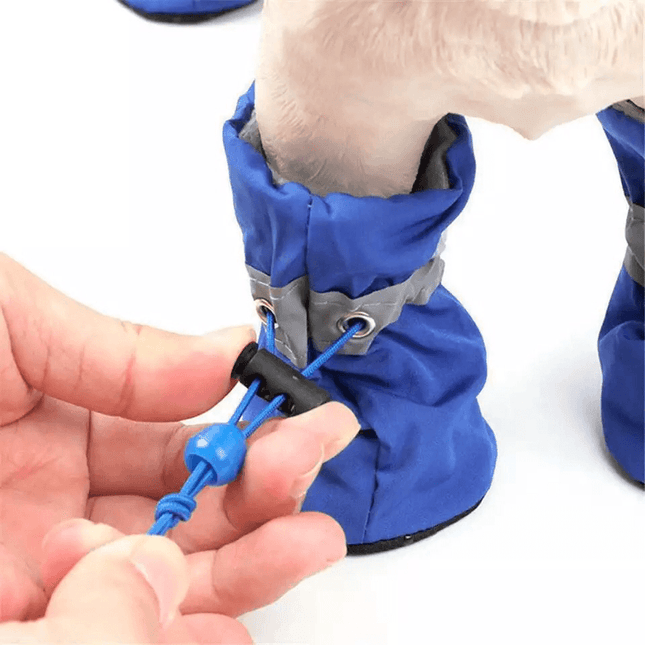 Anti-slip French Bulldog Shoes - Frenchie Complex Shop