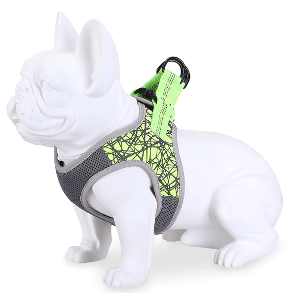 Protective French Bulldog Harness - Frenchie Complex Shop