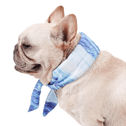 Ultra Cooling French Bulldog Bandana - Frenchie Complex Shop