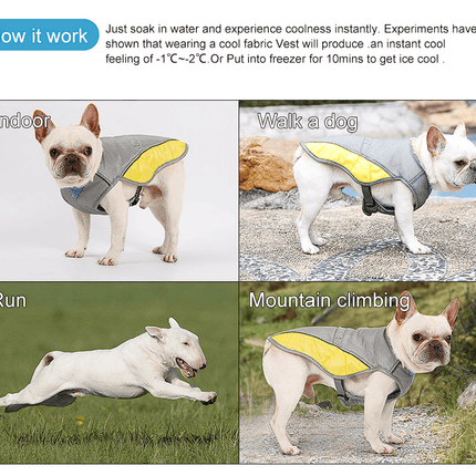 Premium French Bulldog Cooling Vest - Frenchie Complex Shop
