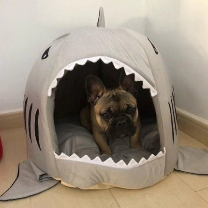 Frenchie House Shark - Frenchie Complex Shop