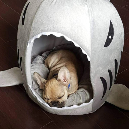 Frenchie House Shark - Frenchie Complex Shop