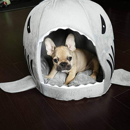 Frenchie House Shark - Frenchie Complex Shop