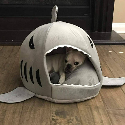 Frenchie House Shark - Frenchie Complex Shop