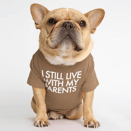 Parents French Bulldog Shirts - Khaki / S - Frenchie Complex Shop