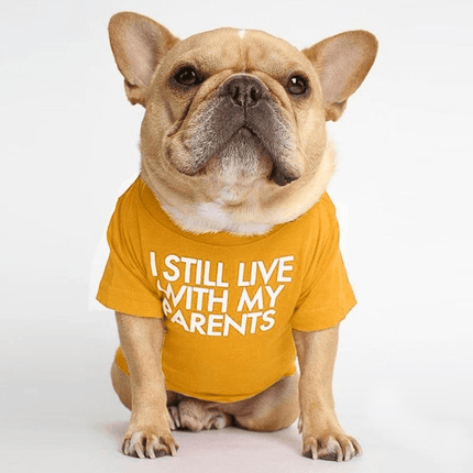 Parents French Bulldog Shirts - Orange / S - Frenchie Complex Shop