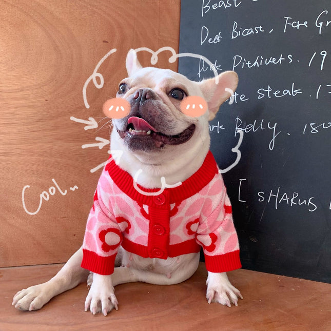 Red Flower Frenchie Sweater - Frenchie Complex Shop