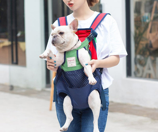 Zaino per bambini con bulldog francese per la scuola materna, Bulldog Zaino per bambini con bulldog francese per la scuola materna, Bulldog