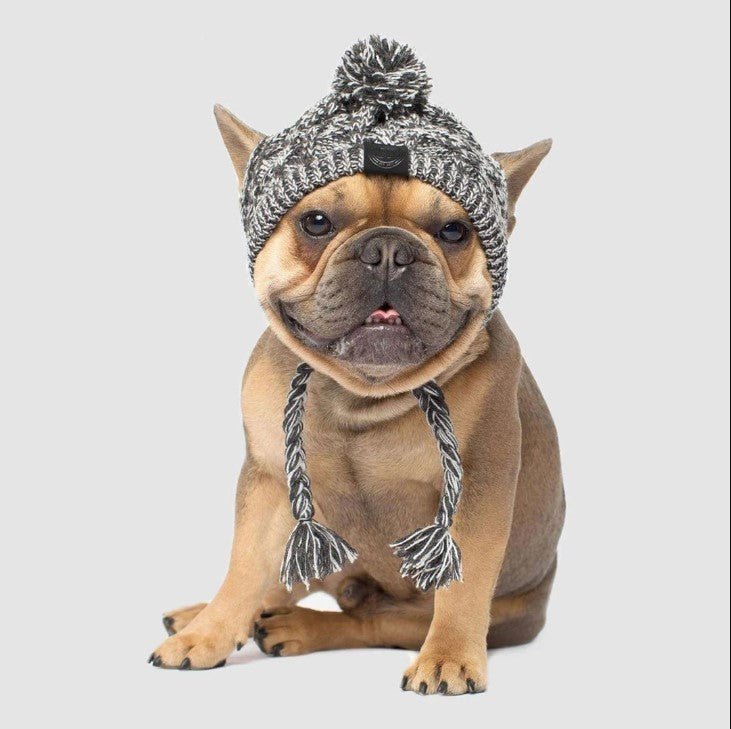 Winter Hat for French Bulldog - Frenchie Complex Shop