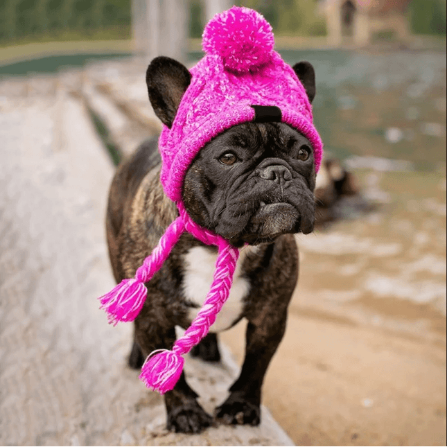 Pink Hat for French Bulldog - Frenchie Complex Shop