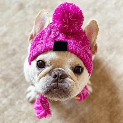 Pink Hat for French Bulldog - Frenchie Complex Shop