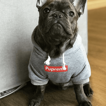 Pupreme French Bulldog Hoodie - Frenchie Complex Shop