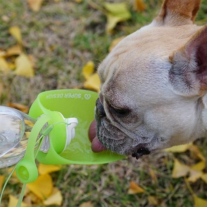 Dog Portable Water Bottle - Frenchie Complex Shop