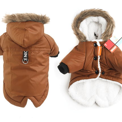 French Bulldog Warm Jacket - Brown / S - Frenchie Complex Shop