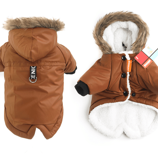 French Bulldog Warm Jacket - Brown / S - Frenchie Complex Shop