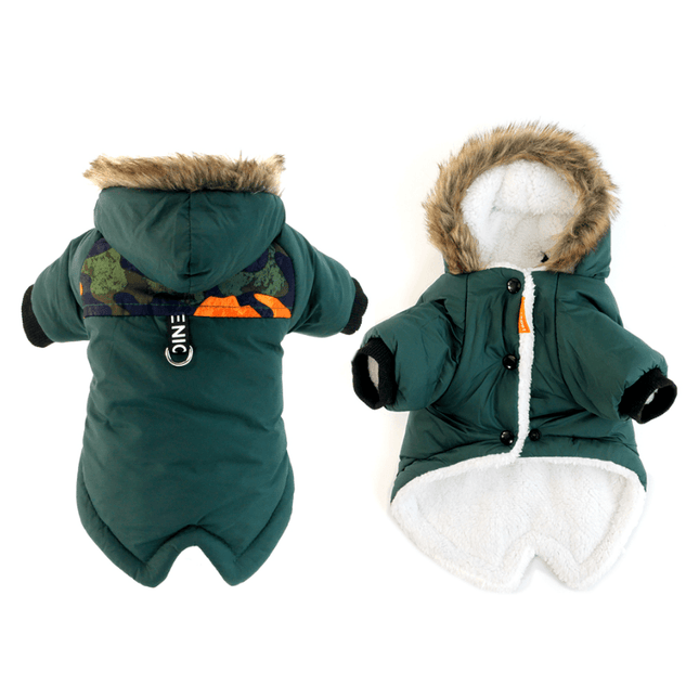 French Bulldog Warm Jacket - Green / S - Frenchie Complex Shop