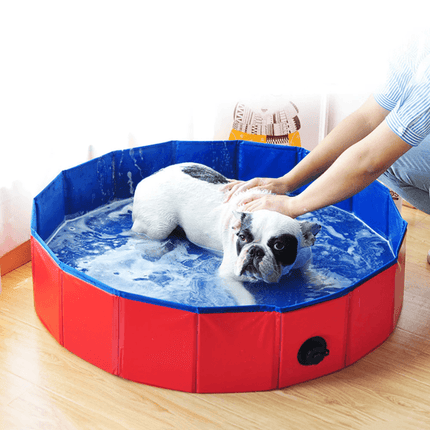 Swimming Pool for Dogs - Frenchie Complex Shop