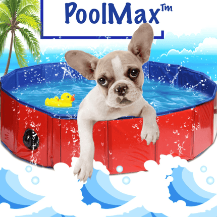 Swimming Pool for Dogs - Frenchie Complex Shop