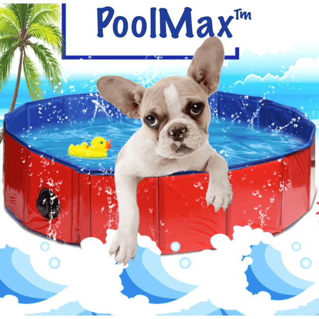 Swimming Pool for Dogs - Frenchie Complex Shop