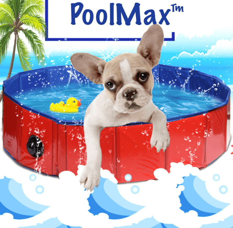 Swimming Pool for Dogs - Frenchie Complex Shop