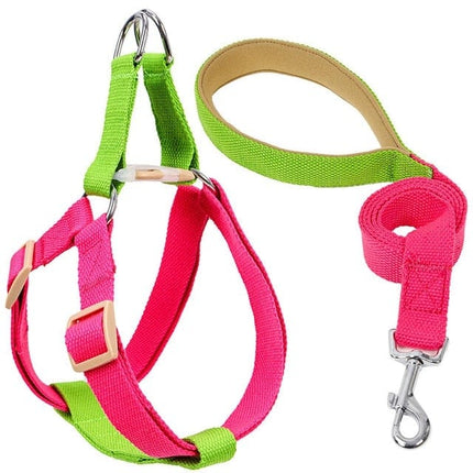 French Bulldog Harness & Leash Set - 2 / L - Frenchie Complex Shop