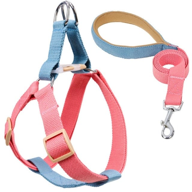 French Bulldog Harness & Leash Set - 1 / S - Frenchie Complex Shop