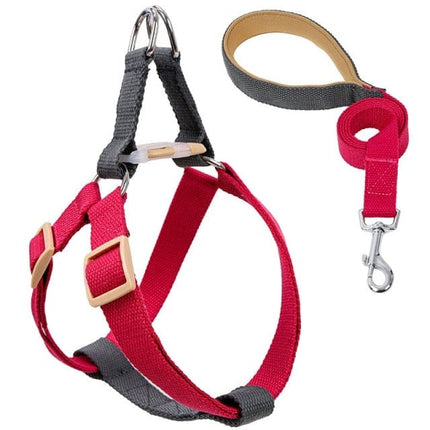 French Bulldog Harness & Leash Set - 4 / M - Frenchie Complex Shop