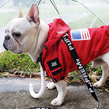 French Bulldog Waterproof Jacket - Frenchie Complex Shop