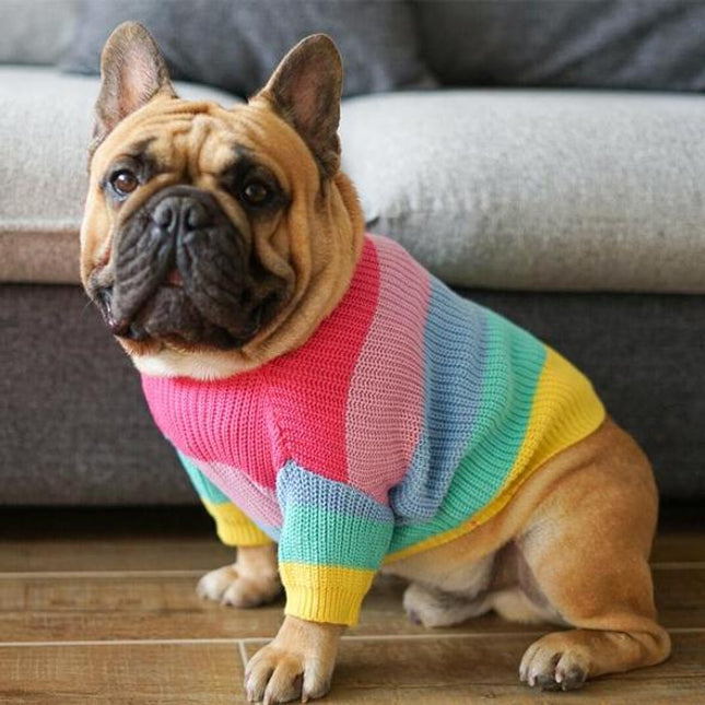 Rainbow Knitted Sweater - S - Frenchie Complex Shop