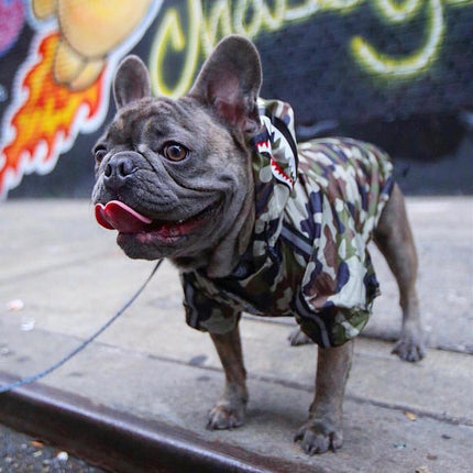 Shark Camouflage Raincoat - Green / S - Frenchie Complex Shop