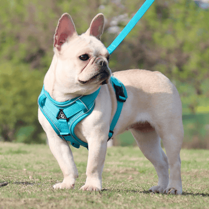 Breathable & Padded French Bulldog Harness and Leash - Sky Blue / S - Frenchie Complex Shop